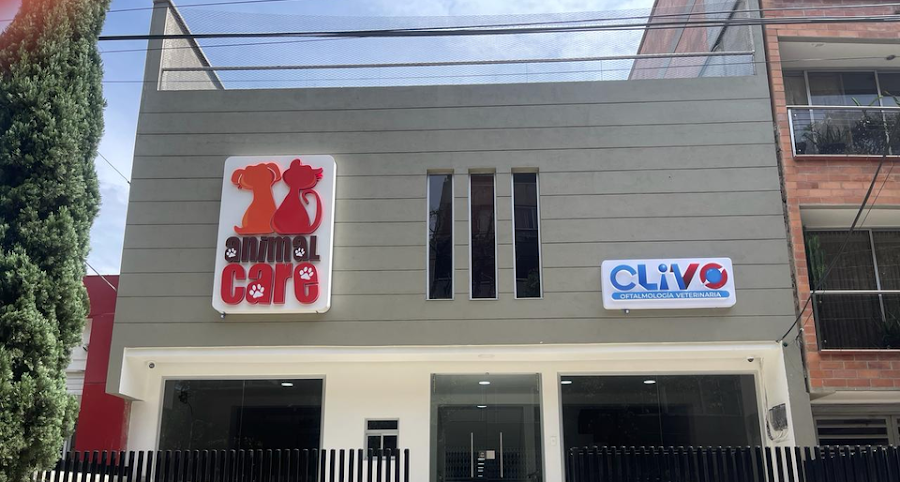 Veterinaria examinando con cariño a un perro golden retriever y un gato en una clínica moderna